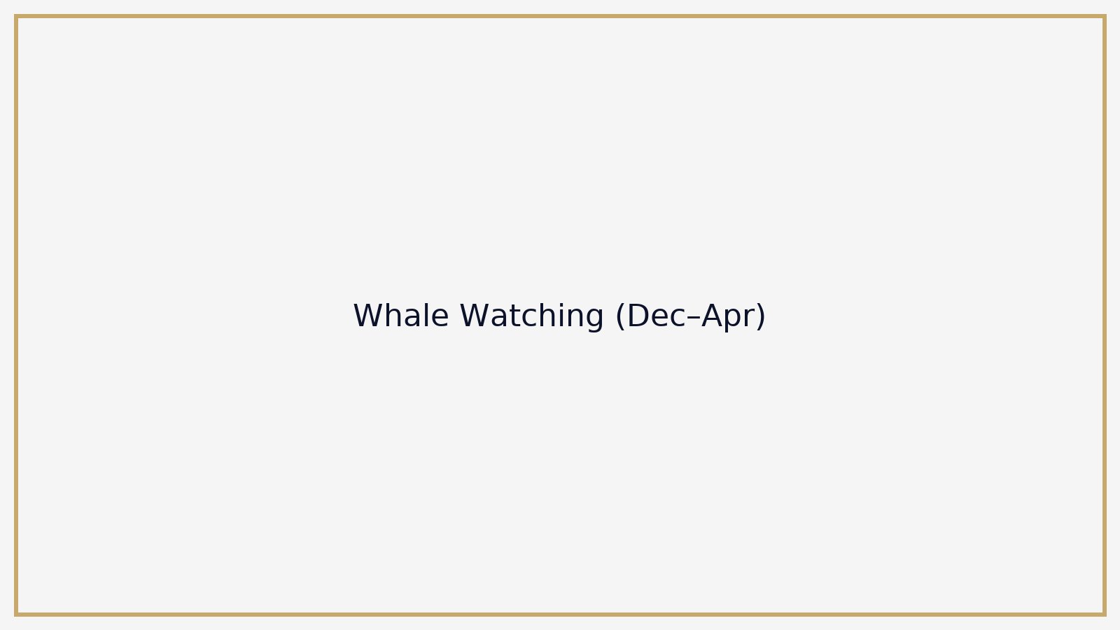 Whale Watching (Dec–Apr)